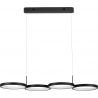 Raan LED 84cm black modern circle pendant lamp