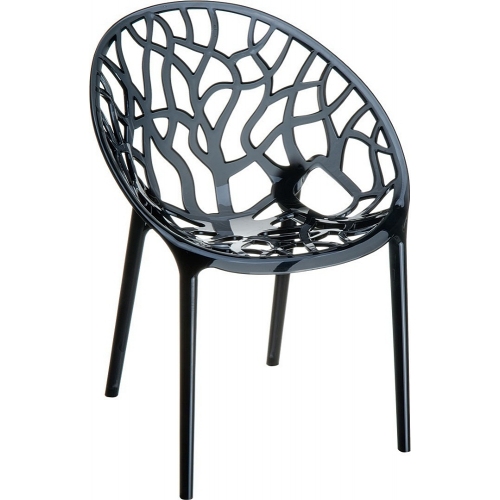 Crystal black transparent openwork modern chair Siesta