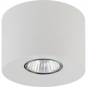 Topo 11cm white ceiling tube spot lamp