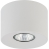 Topo 11cm white ceiling tube spot lamp