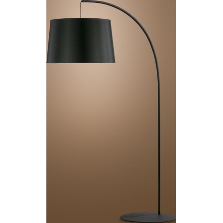 Hang black arched floor lamp with shade TK Lighting