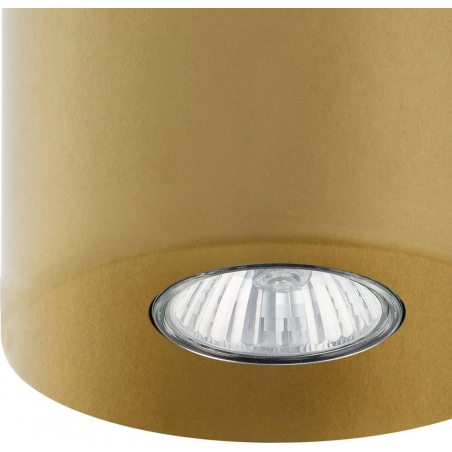 Lampa spot sufitowa tuba Orion 12 złota TK Lighting
