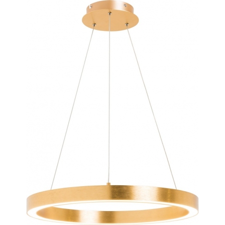 Carlo 40 LED gold modern round pendant lamp ZumaLine