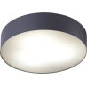 Arena 40 graphite round bathroom ceiling lamp 