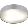 Arena 40 silver round bathroom ceiling lamp