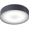 Arena 40 LED graphite round bathroom ceiling lamp
