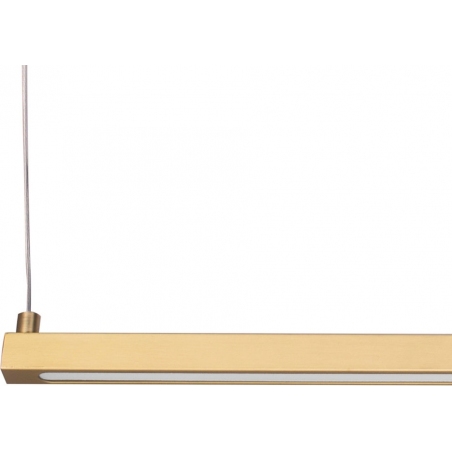 Beam 100 LED gold linear pendant lamp Step Into Design
