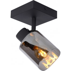 Alion smoke glass&black glass ceiling spotlight Lucide