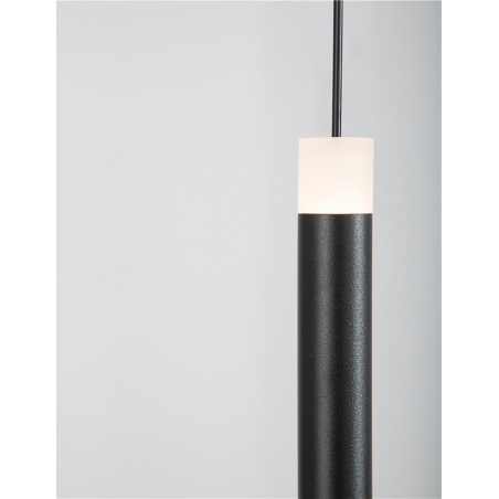 Reya 8 LED black&white glass ball pendant lamp