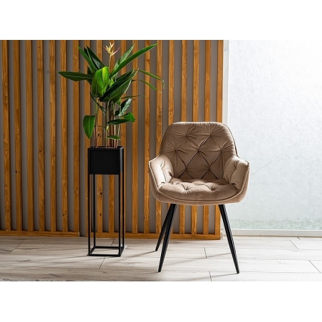 Cherry Velvet beige quilted velvet chair with armrests Signal