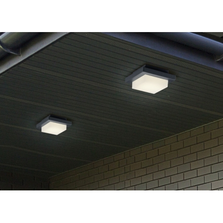 Hondo LED anthracite square outdoor ceiling light Trio