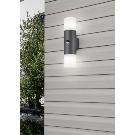 Hoosic II anthracite outdoor wall lamp with sensor Trio