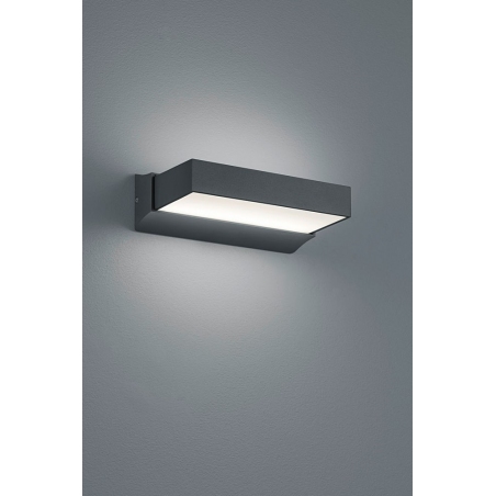 Cuando Led anthracite outdoor wall lamp Trio