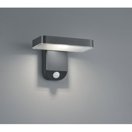 Esquel Led antharcite outdoor wall lamp with sensor Trio