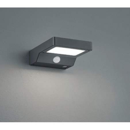 Fomosa Led antharcite outdoor wall lamp with sensor Trio