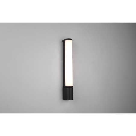 Piera LED 41 black bathroom wall lamp with switch Trio