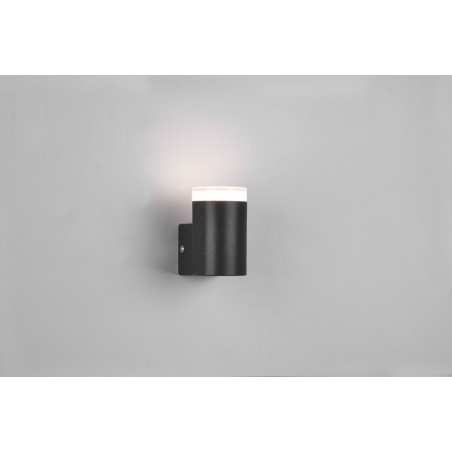 Ray LED black outdoor wall lamp Trio