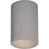 Funta grey concrete ceiling lamp LoftLight
