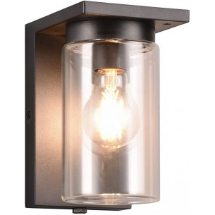 Ardila black matt outdoor wall lamp with twilight sensor Trio