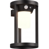 Carmo LED black matt outdoor wall lamp with motion sensor Trio