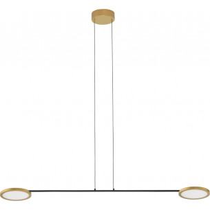 Field LED gold&amp;black modern 2-light pendant lamp