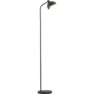 Jet black matte&amp;gold loft floor lamp