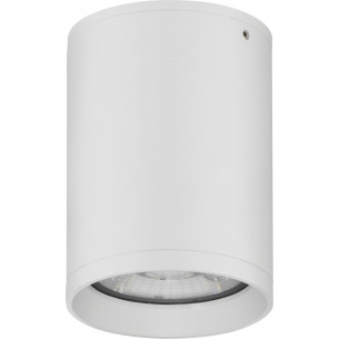 Aria LED 3000K white outdoor ceiling lamp