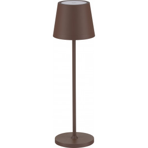 Enea LED 3000K brown garden table lamp