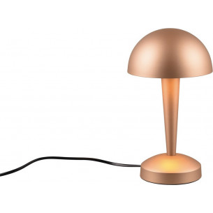 Canaria LED 3000K coffee retro table lamp Reality