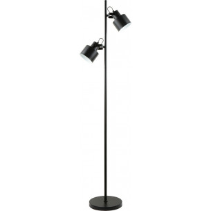 Draco black loft 2-point floor lamp ZumaLine