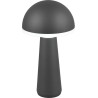 Fungo LED anthracite outdoor table lamp with adjustable light color Reality