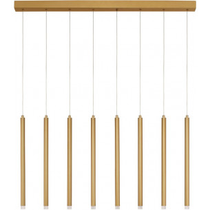 Hose LED 100cm gold sand pendant tubes lamp on strip