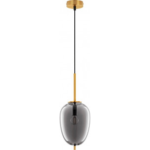 Tamo 15.8cm smoked glass&amp;golden brass glamour glass pendant lamp