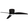 Dernos LED black ceiling fan lamp
