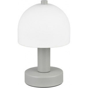 Glenn Opal&amp;Dark Gray Retro Night Light Reality