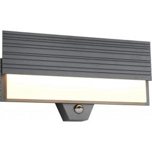 Mariza LED 3000K 40cm anthracite outdoor wall lamp with motion sensor Trio