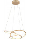 Darvin LED 64cm gold modern pendant lamp with light colour control Trio