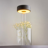 AI Collaboration LED black / transparent portable table lamp with vase Maytoni