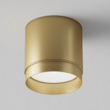 Polar 8.2 cm matte gold tube surface-mounted spot lamp Maytoni