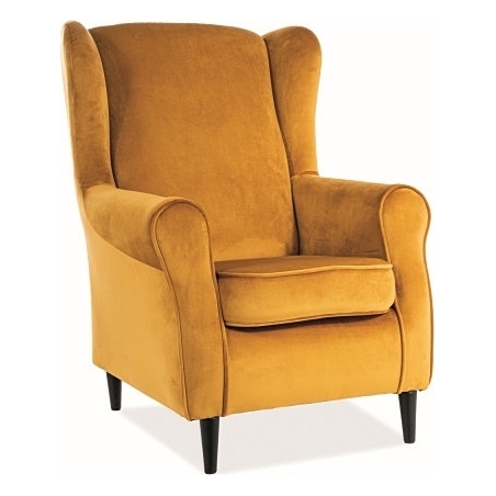 Baron curry velvet upholstered armchair Signal