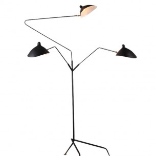 Crane black tall floor lamp with 3 lights Step Into Design