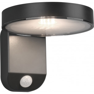 Posadas Led antharcite outdoor wall lamp with sensor Trio