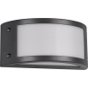 Kendal Led antharcite outdoor wall lamp Trio