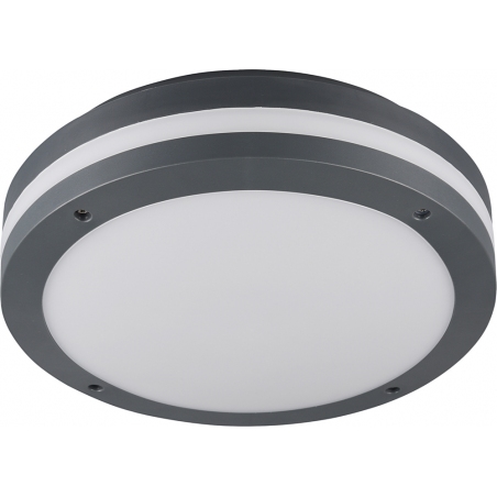 Piave 30 Led antharcite outdoor ceiling light with sensor Trio