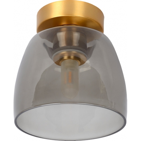 Tyler smoke glass&amp;brass glass bathroom ceiling lamp Lucide
