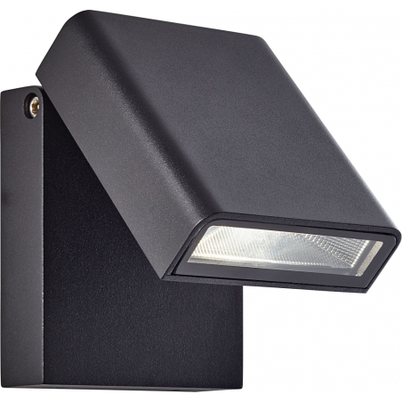 Toya LED black outdoor wall lamp Brilliant