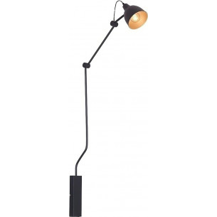 Aida Bibi 14 black&amp;gold industrial wall lamp with arm Aldex