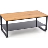 Artiga 105x55 gold oak coffee table with shelf Halmar