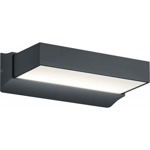 Cuando Led anthracite outdoor wall lamp Trio