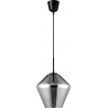 Renne 23 grey&amp;chrome modern glass pendant lamp